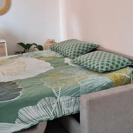 Apartment La Canopee Superbe 2 Pieces Neuf A 100m De La Classe 2 Etoiles *