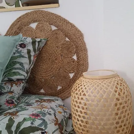 Appartement La Canopée Superbe 2 Pièces Neuf à 100m De La Classé 2 étoiles *