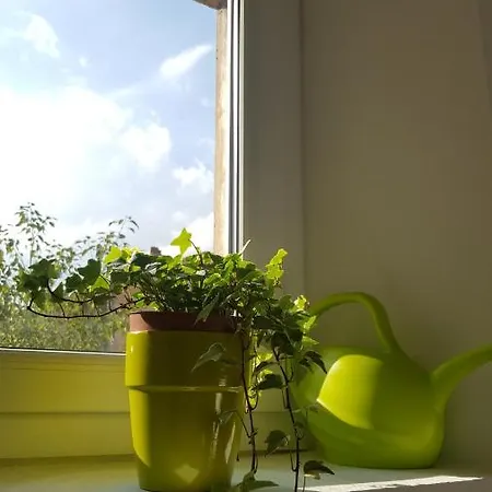 La Canopee Superbe 2 Pieces Neuf A 100m De La Classe 2 Etoiles *