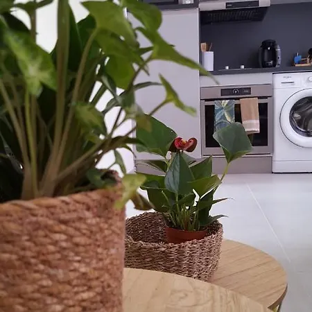 Appartement La Canopée Superbe 2 Pièces Neuf à 100m De La Classé 2 étoiles Menton