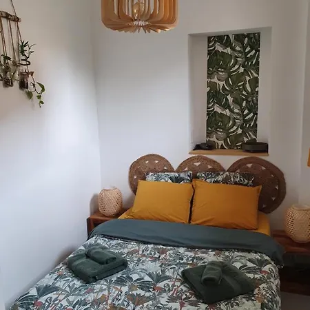 La Canopee Superbe 2 Pieces Neuf A 100m De La Classe 2 Etoiles *