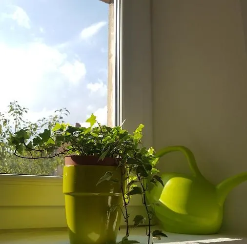 La Canopée Superbe 2 Pièces Neuf à 100m De La Classé 2 étoiles *