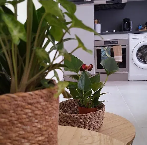 Apartment La Canopee Superbe 2 Pieces Neuf A 100m De La Classe 2 Etoiles Menton