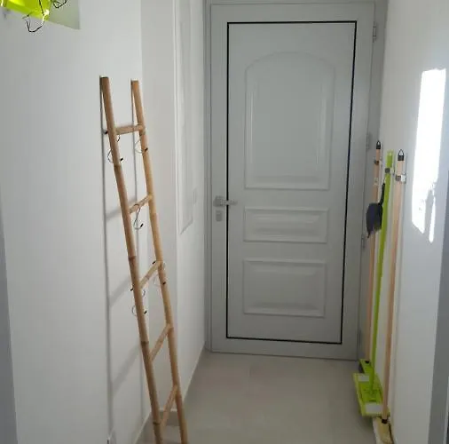 La Canopée Superbe 2 Pièces Neuf à 100m De La Classé 2 étoiles *