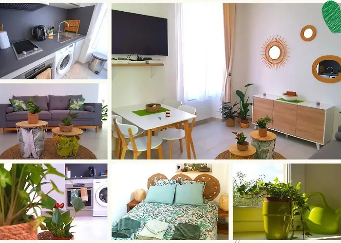 Apartamento La Canopée Superbe 2 Pièces Neuf à 100m De La Classé 2 étoiles *