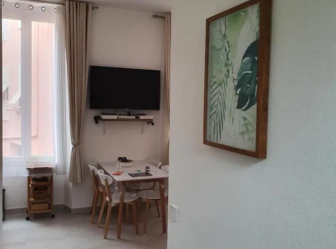 Apartment La Canopee Superbe 2 Pieces Neuf A 100m De La Classe 2 Etoiles Menton