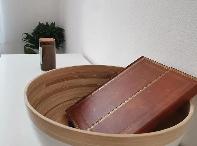 La Canopee Superbe 2 Pieces Neuf A 100m De La Classe 2 Etoiles Apartment Menton