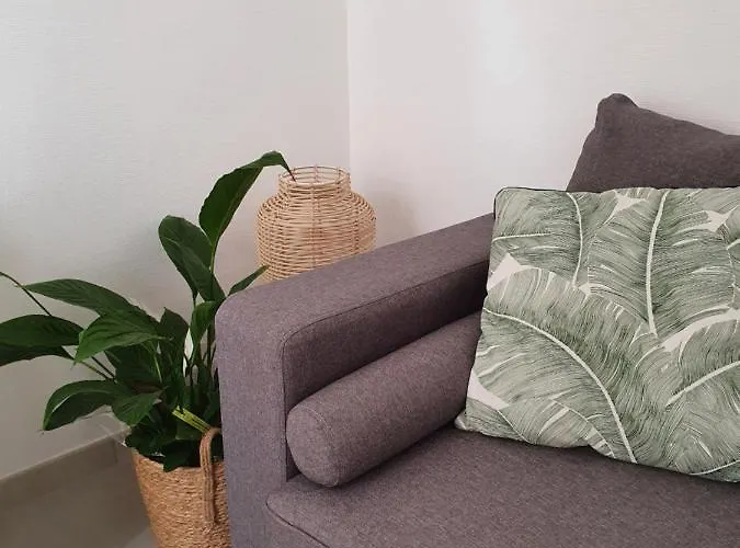 La Canopée Superbe 2 Pièces Neuf à 100m De La Classé 2 étoiles Menton