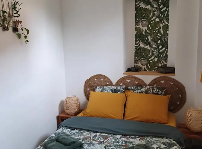 La Canopée Superbe 2 Pièces Neuf à 100m De La Classé 2 étoiles *