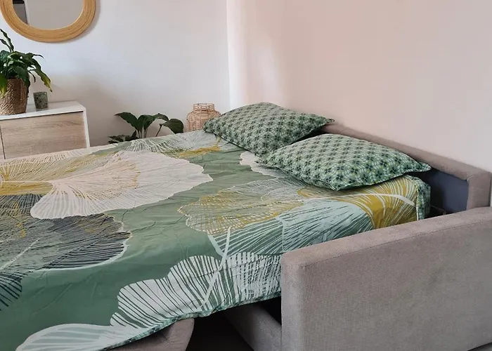 Apartamento La Canopée Superbe 2 Pièces Neuf à 100m De La Classé 2 étoiles *